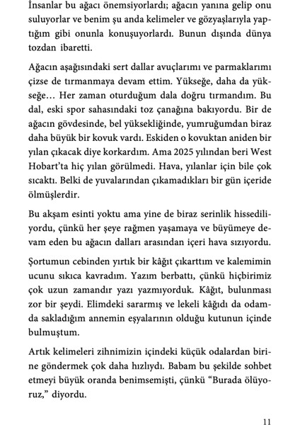 Mektup Ağacı - Rebecca Lim, Kate Gordon