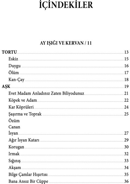 İnsan İnsanın Yurdudur - Kâmil Eşfak Berki modelleri