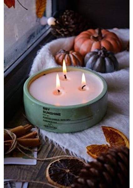 Dekoratif Vegan Kokulu Mum 220 gr Beton Saksıda Aroma Etkisiyle fırsatları