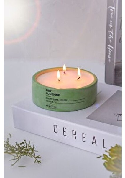 Dekoratif Vegan Kokulu Mum 220 gr Beton Saksıda Aroma Etkisiyle indirimleri