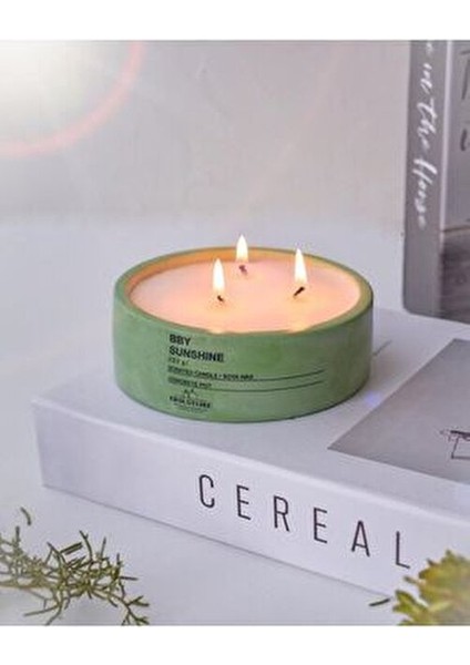 Dekoratif Vegan Kokulu Mum 220 gr Beton Saksıda Aroma Etkisiyle