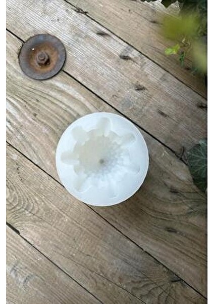 Silikon Köknar Çam Ağacı Mum Kalıbı Kokusuz 71 gr