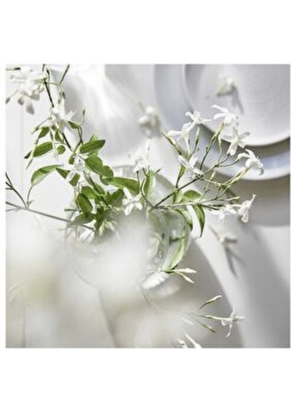Lugnare Kokulu Tealight Mum 30 Adet Yasemin Aromasıyla Romantik Atmosfer modelleri