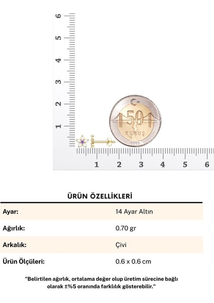 Feraye Minik Çiçek 14 Ayar Altın Küpe indirimleri