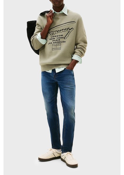 Pamuklu Slim Fit Normal Bel Dar Paça Jeans Erkek Kot Pantolon DM0DM22247 1bk fiyatları