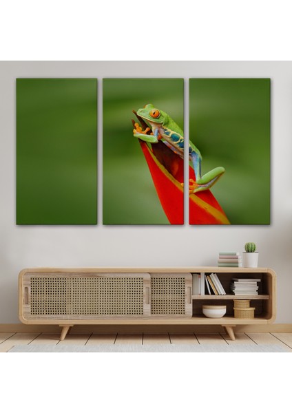 Miyrem-Premier Kanvas Serileri- Renkli Kurbağa Dekoratif Kanvas Tablo 1136 modelleri