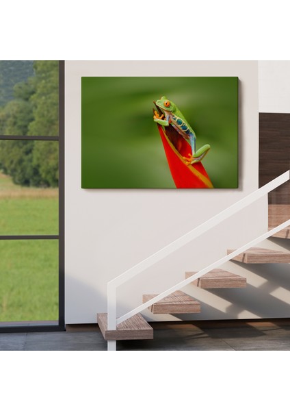 Miyrem-Premier Kanvas Serileri- Renkli Kurbağa Dekoratif Kanvas Tablo 1136 indirimleri