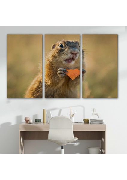 Miyrem-Premier Kanvas Serileri- Şaşkın Sincap Dekoratif Kanvas Tablo 1158 modelleri