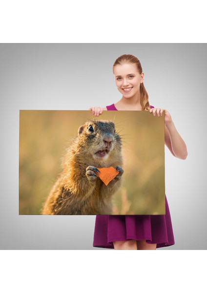 Miyrem-Premier Kanvas Serileri- Şaşkın Sincap Dekoratif Kanvas Tablo 1158 fırsatları