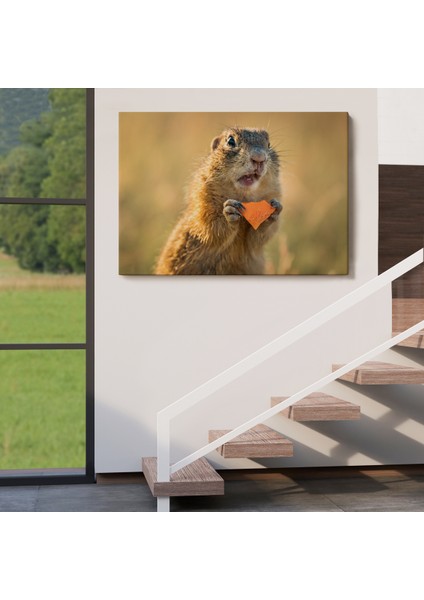 Miyrem-Premier Kanvas Serileri- Şaşkın Sincap Dekoratif Kanvas Tablo 1158 indirimleri