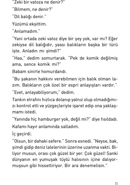 Palyaço Balığı - Alan Durant