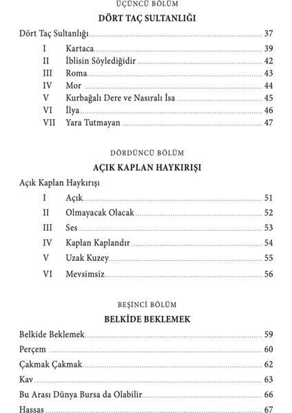 Açık Kaplan Haykırışı - Hüseyin Atlansoy fırsatları