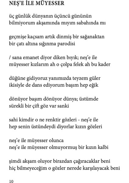 Açık Kaplan Haykırışı - Hüseyin Atlansoy