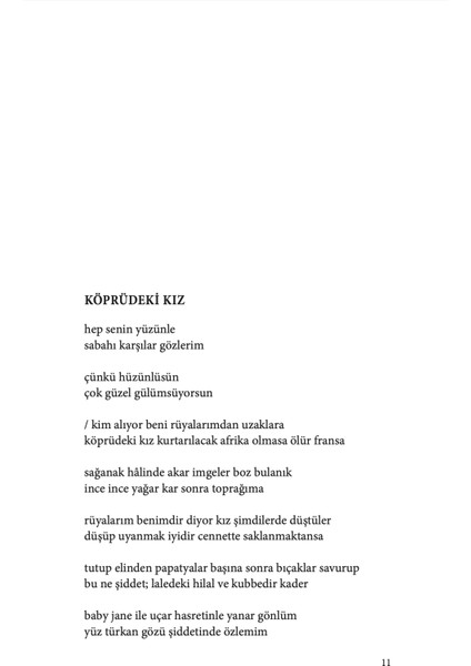 Açık Kaplan Haykırışı - Hüseyin Atlansoy