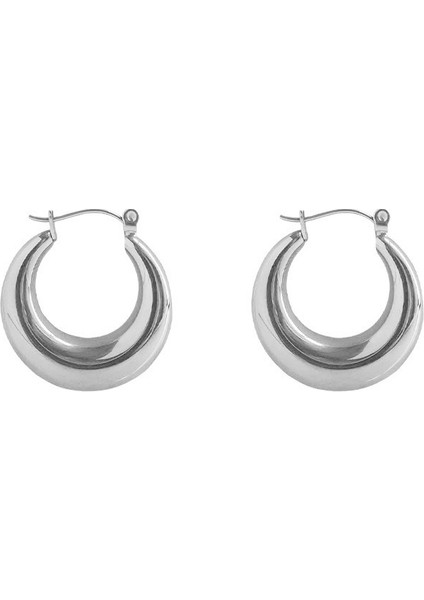 Kadınlar Için Metal Yuvarlak Halka Küpeler, Sade ve Niş Tasarım, Hafif Lüks Altın Küpeler (Yurt Dışından)