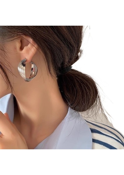 Fransız Metal Niş Tasarımlı Üst Düzey Çok Yönlü Küpeler (Yurt Dışından) modelleri