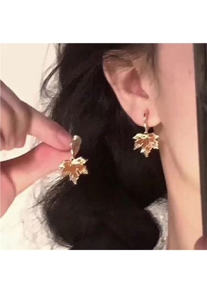 Maillard High End Retro Mizaç Kulak Klipsi Küpeleri Basit ve Çok Yönlü Kulak Delme Gerektirmeyen Yeni Trend Küpeler (Yurt Dışından)