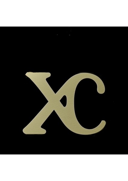 14 Ayar Altın Kolye Ucu C&x GM10820 1 gr fırsatları