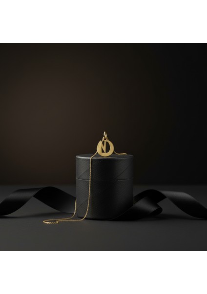 14 Ayar Altın Kolye Ucu D&n GM10997 0.5 gr modelleri