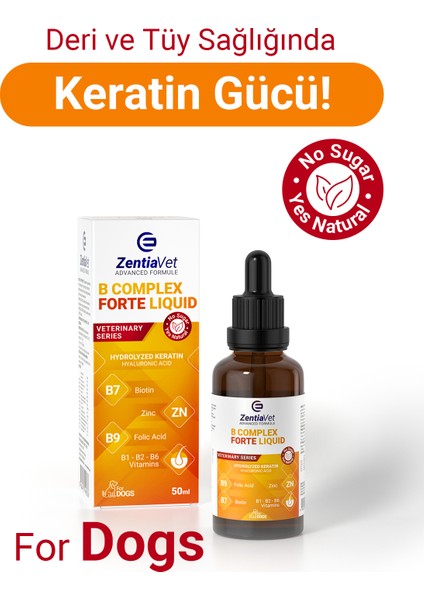 B Complex Forte Köpek Likit 50 ml
