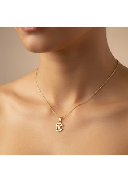 14 Ayar Altın Kolye Ucu C&t GM10778 1 gr