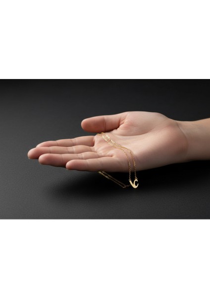 8 Ayar Altın Kolye Ucu C&v GM10801 1 gr fiyatları