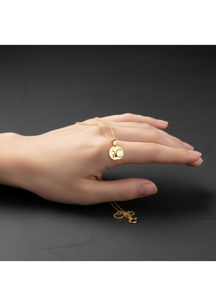 8 Ayar Altın Kolye Ucu C&p GM10724 1 gr fiyatları