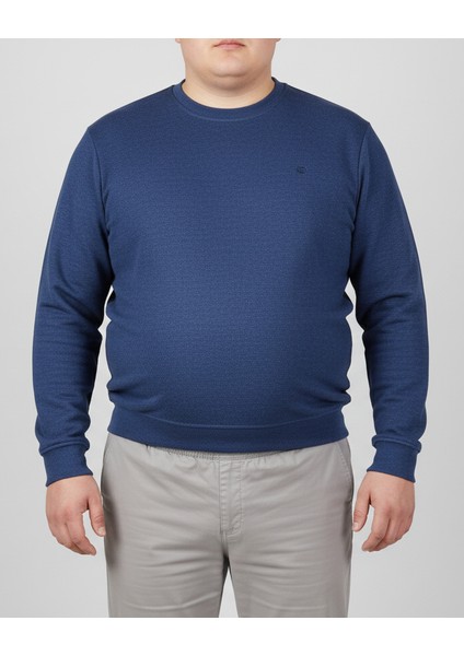 Erkek Sweatshirt Bisiklet Yaka Selanik Dokuma Tüylenmez Battal Büyük Beden modelleri