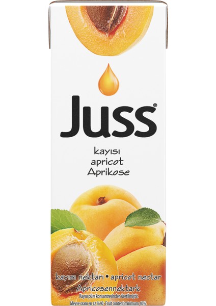 Nektar Kayısı 200 ml x 27 Slim