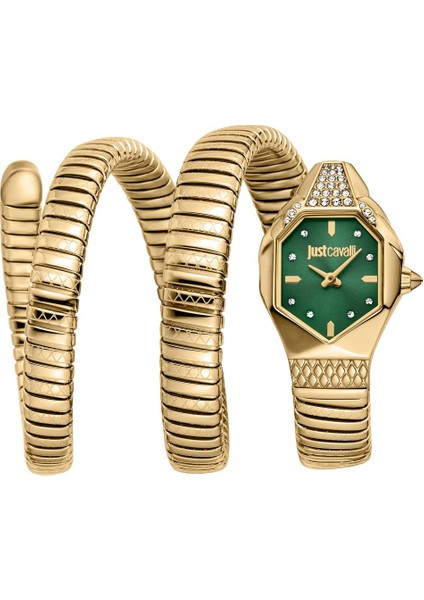 Just Cavallı JC1L370M0035 Kadın Kol Saati
