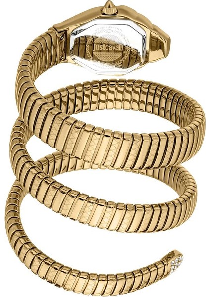 Just Cavallı JC1L370M0035 Kadın Kol Saati modelleri