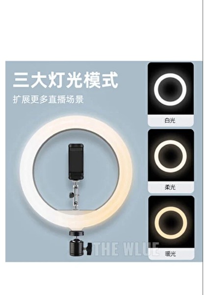 10 Inç Led Işıklı Masaüstü Standı 26 cm Ayarlanabilir Parlaklık ile Selfie ve Yayınlar İçin