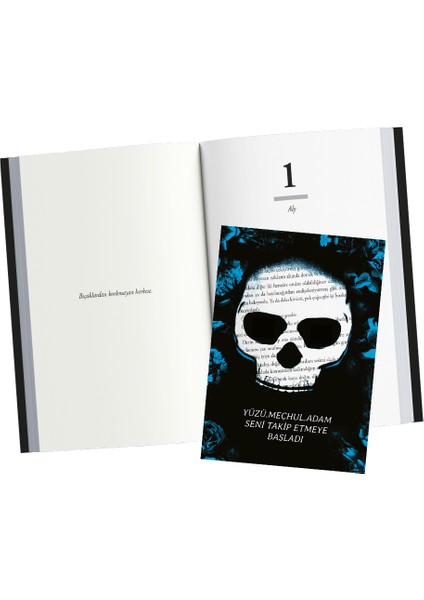 Işıklar Söndüğünde - Karanlığa Doğru 1 - Beyza Bozsu fiyatları