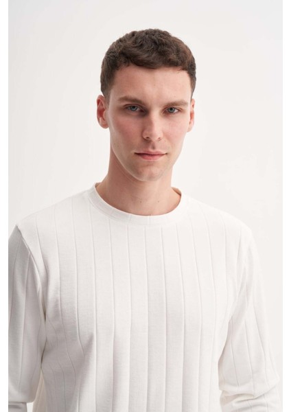 Erkek Bisiklet Yaka Jakarlı Sweatshirt Ekru Kazak fiyatları