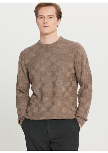 Bisiklet Yaka Standart Vizon Erkek Kazak ACE049261483_VIZ