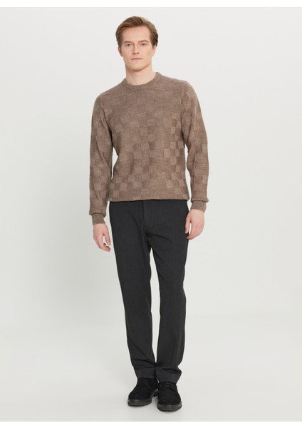 Bisiklet Yaka Standart Vizon Erkek Kazak ACE049261483_VIZ fiyatları