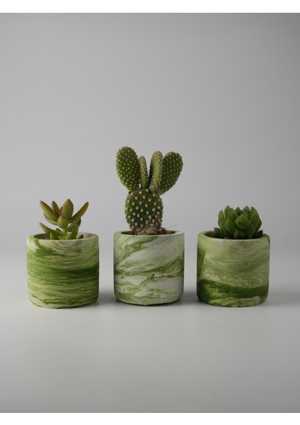 Dekoratif Beton Saksı 3’lü Set - Mini Sukulent ve Kaktüs Saksısı 7x7 cm - Modern Renkli Beton Saksı Seti - Ev ve Ofis Dekorasyonu Için