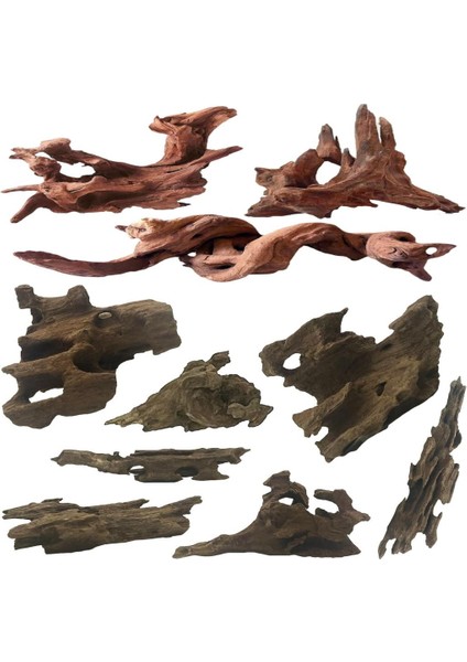 Mangrove Akvaryum Kütüğü L 30-40 cm