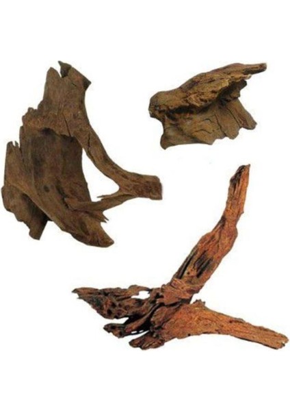 Mangrove Akvaryum Kütüğü L 30-40 cm fiyatları