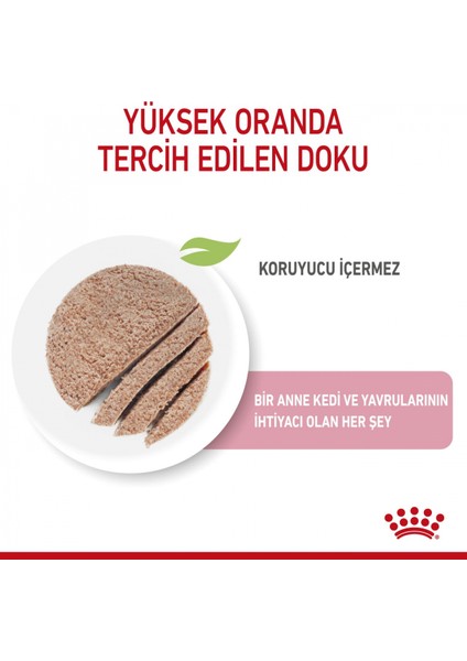 Mother&babycat Gebe/laktasyondaki Anne Ve Yavru Kedi Için Kedi Ko