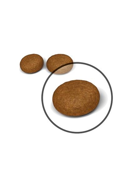 Hair&Skin Tüy ve Deri Sağlığı için Kuru Kedi Maması 2kg