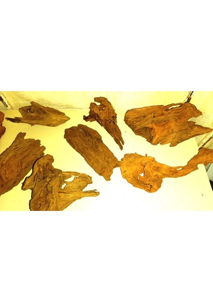 Mangrove Akvaryum Kütüğü ml 25-30 cm