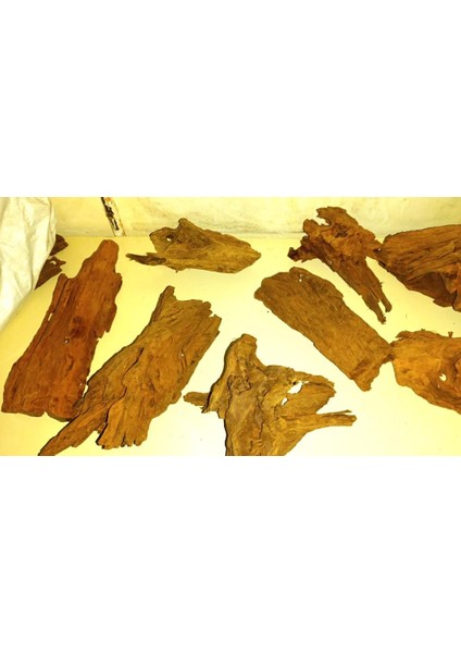 Mangrove Akvaryum Kütüğü ml 25-30 cm fiyatları