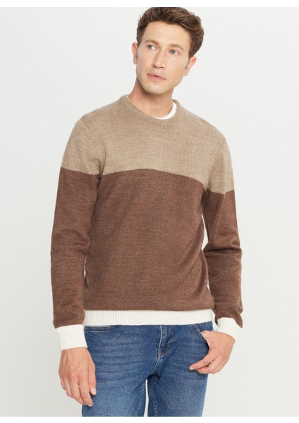 Bisiklet Yaka Standart Kahve - Bej Erkek Kazak ACE049261480_KHJ modelleri