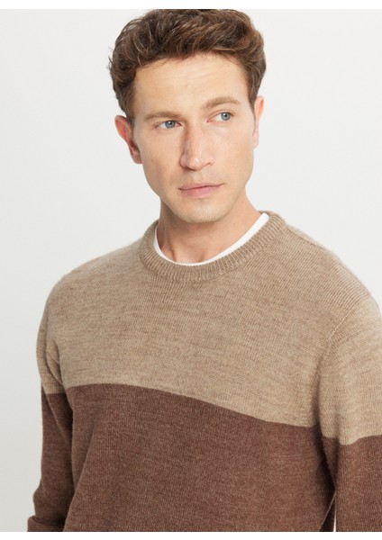 Bisiklet Yaka Standart Kahve - Bej Erkek Kazak ACE049261480_KHJ fırsatları