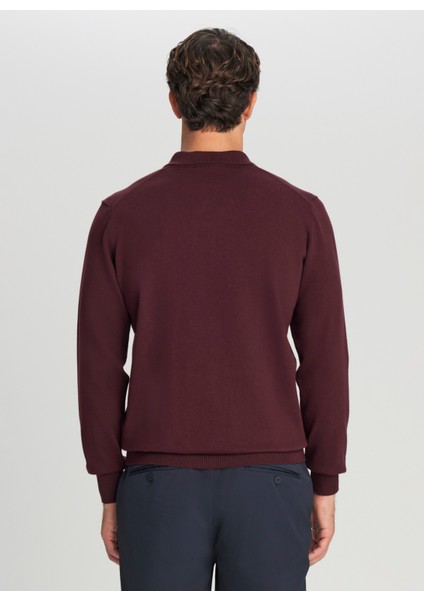 Polo Yaka Standart Bordo Erkek Kazak ACE043261436_BRD indirimleri