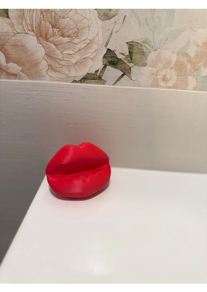 Dudak Şeklinde Ruj ve Dudak Parlatıcısı Standı fırsatları