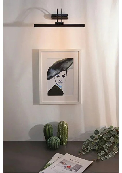 Pilli Mat Gün Işığı Kuğu Aplik Ayna Üstü Aydınlatma Duvar Tablo Aydınlatma Dekorasyon A+