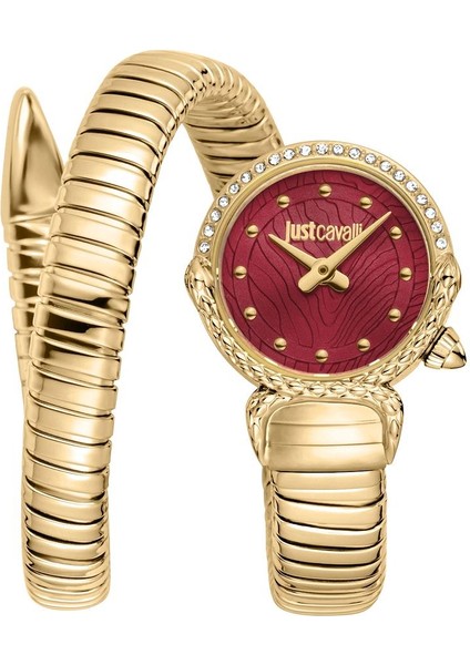 Just Cavallı JC1L350M0035 Kadın Kol Saati
