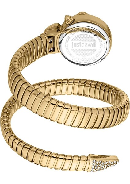 Just Cavallı JC1L350M0035 Kadın Kol Saati fiyatları
